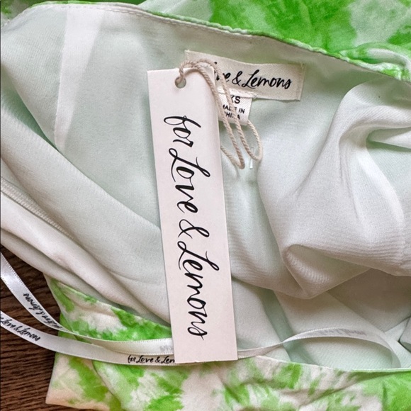 For Love And Lemons Dress - Picture 11 of 13